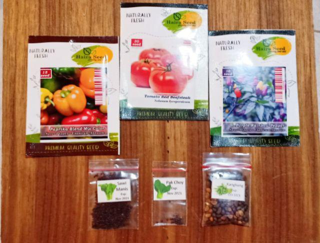 Isi 10 Biji - Benih Cabai Purple Rainbow Pepper - Haira Seed
