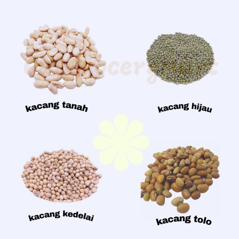 

Aneka Kacang-kacangan (kacang hijau, kacang tanah, kacang tolo, kacang kedelai)