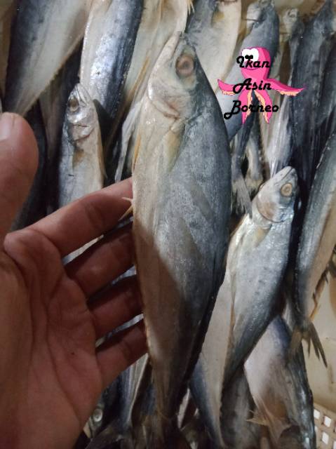 Ikan Asin kecil Talang Telang Papan Sampantiau Janphu 250 Gram