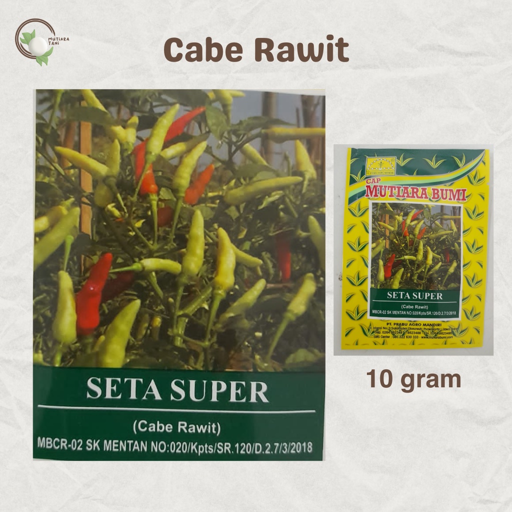 BENIH CABE RAWIT SETA SUPER CAP MUTIARA BUMI | 10 gram