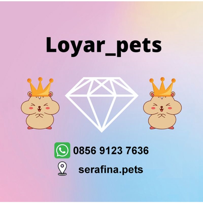 hamster winter golden