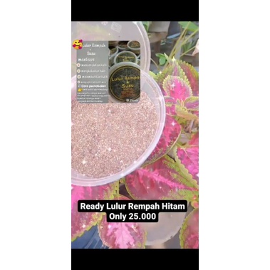 Lulur Rempah Hitam (Bedak Lotong)