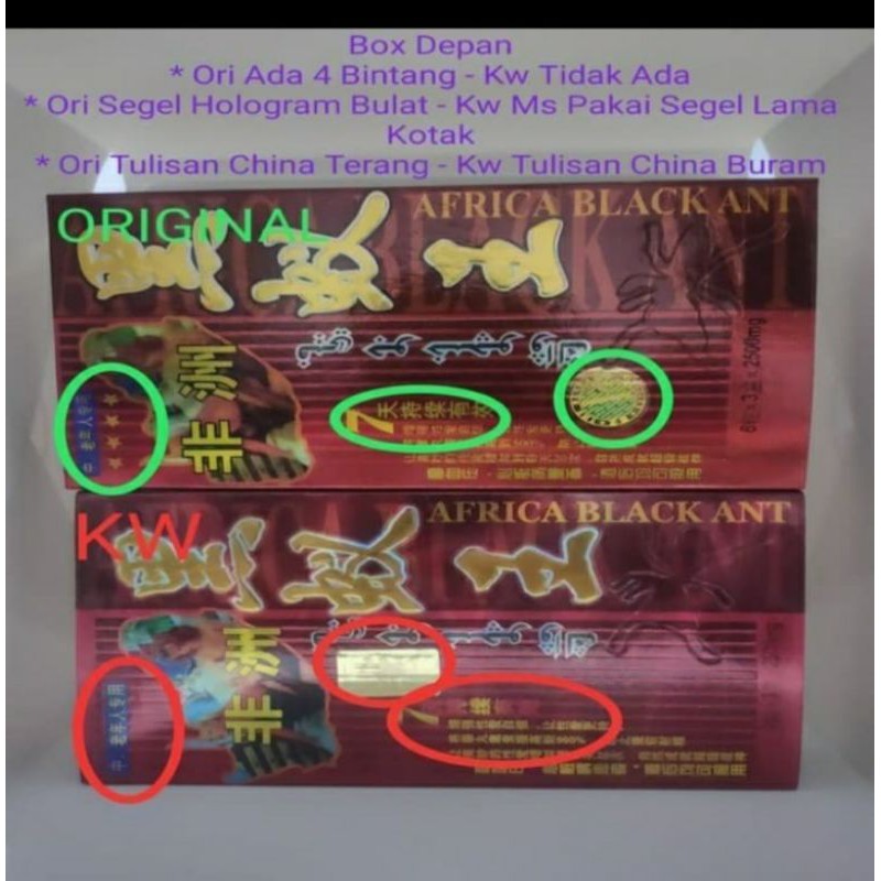 Obat Kebugaran Semut Hitam Black-Ant Original