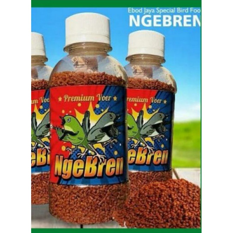 ngebren premium voer pleci 130 gram pakan ebod jaya 1btl