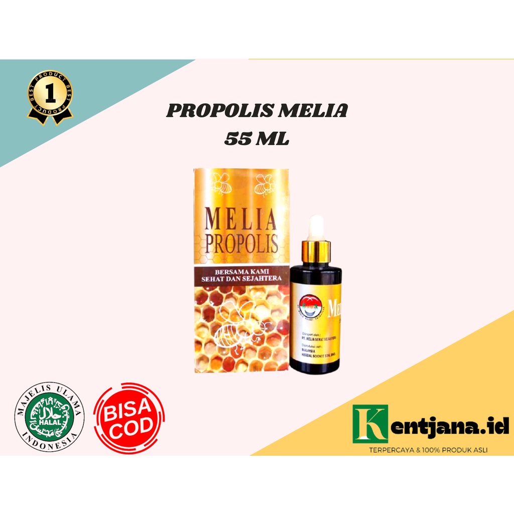PROPOLIS MELIA 55ML ORIGINAL MELIA PROPOLIS 55