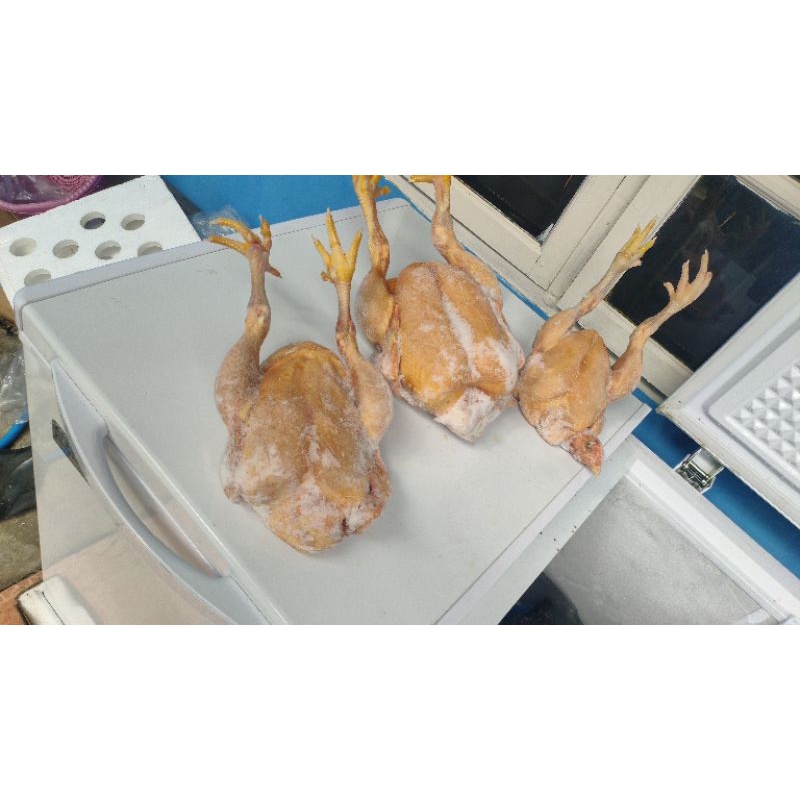 

ayam potong fresh