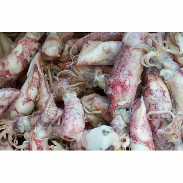

Cumi Asin 250gr