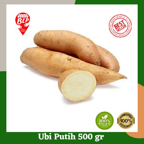 

Ubi Putih Segar 500 gr Berkah Lumbung Pangan