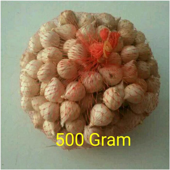 

AMPUH BAWANG PUTIH TUNGGAL / BAWANG LANANG !!!