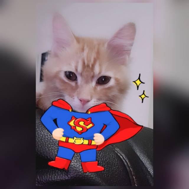 tiaraneno