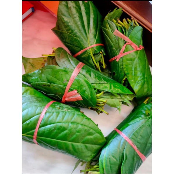 

DAUN SIRIH DAUN SURUH DAUN SIRIH SEGAR DAUN SURUH SEGAR FRESH BARU PETIK DAUN SIRIH