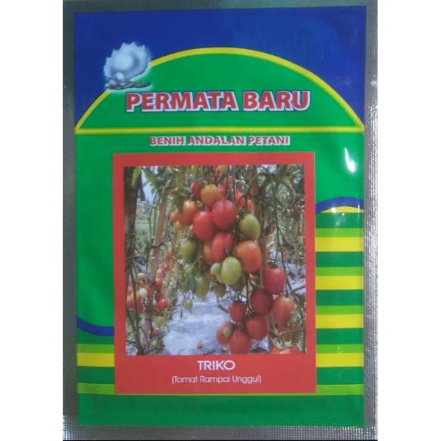 Benih Bibit Tomat Rampai TRIKO 5gr - 1700 butir - PERMATA BARU