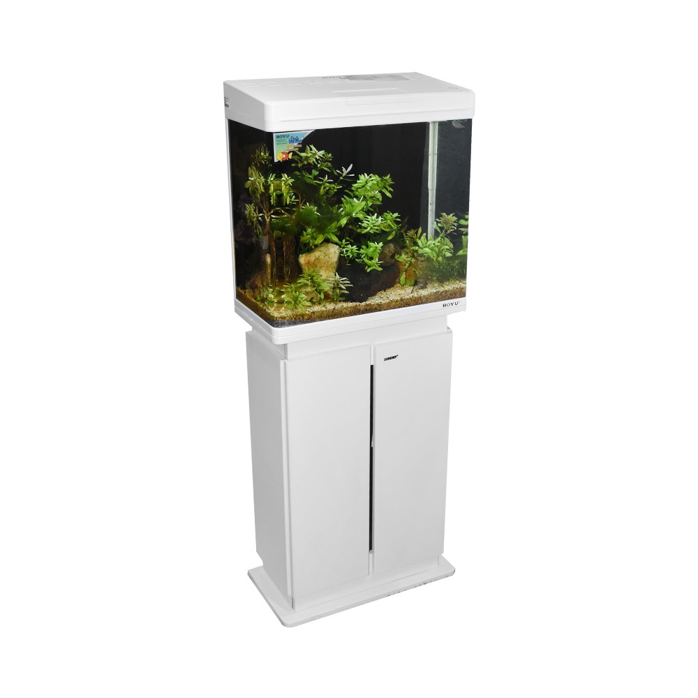 54 Dekorasi Aquarium Boyu HD