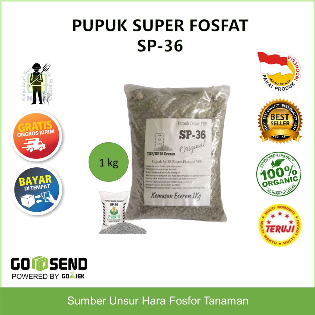 Pupuk TSP / SP36 Repack 1 kg - Pupuk Super Fosfat SP-36 Kemasan Ecer PETROKIMIA / Penggembur Tanah