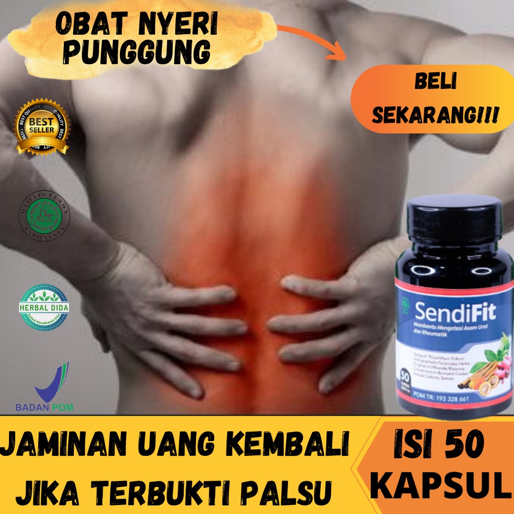 Obat Sakit Punggung dan Terkilir, Obat Syaraf Kejepit di Punggung, Obat Anti Nyeri Otot Punggung, Ob