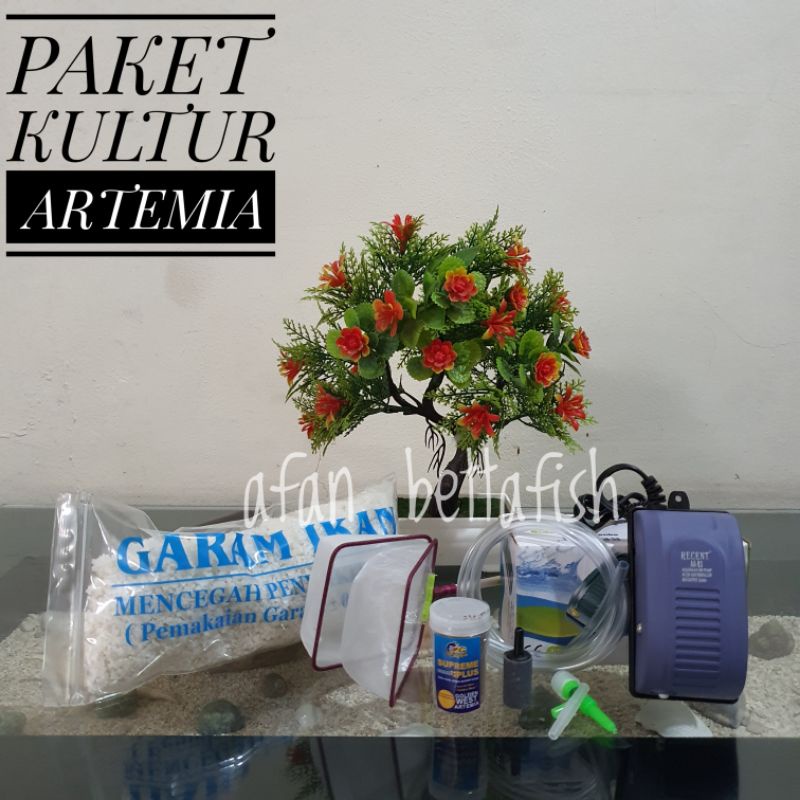 PAKET KULTUR ARTEMIA Supreme Plus 10 gr Lengkap