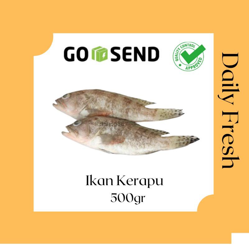 

ikan Kerapu kecil Segar