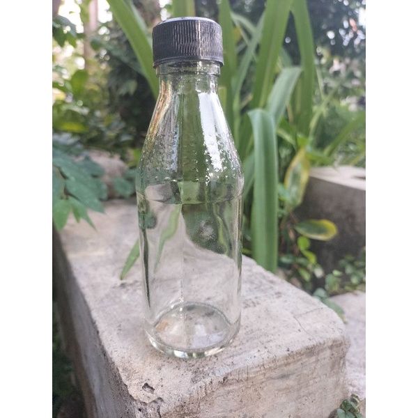 Botol Kaca Polos 150ml tutup popup botol madu