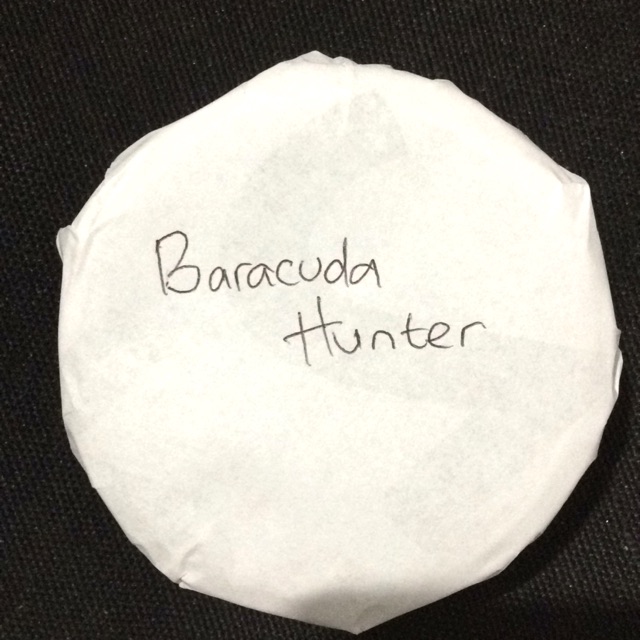 Baracuda hunter