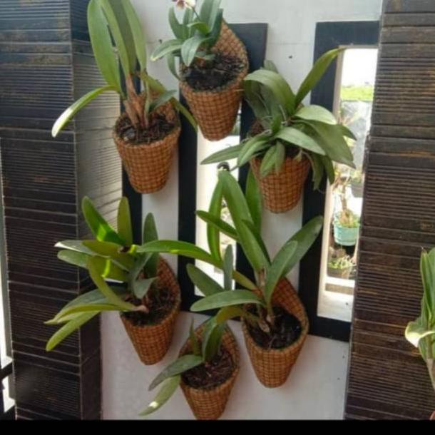 POT BUNGA TEMPEL