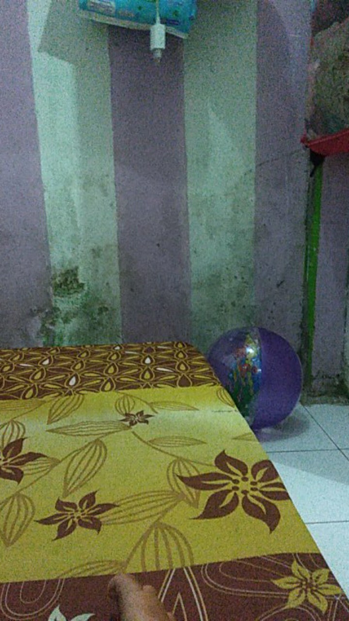 Elemen Kawat Sealer Press Plastik / Element Impulse Sealer 2mm , 3mm / Elemen Kawat Pemanas 20cm