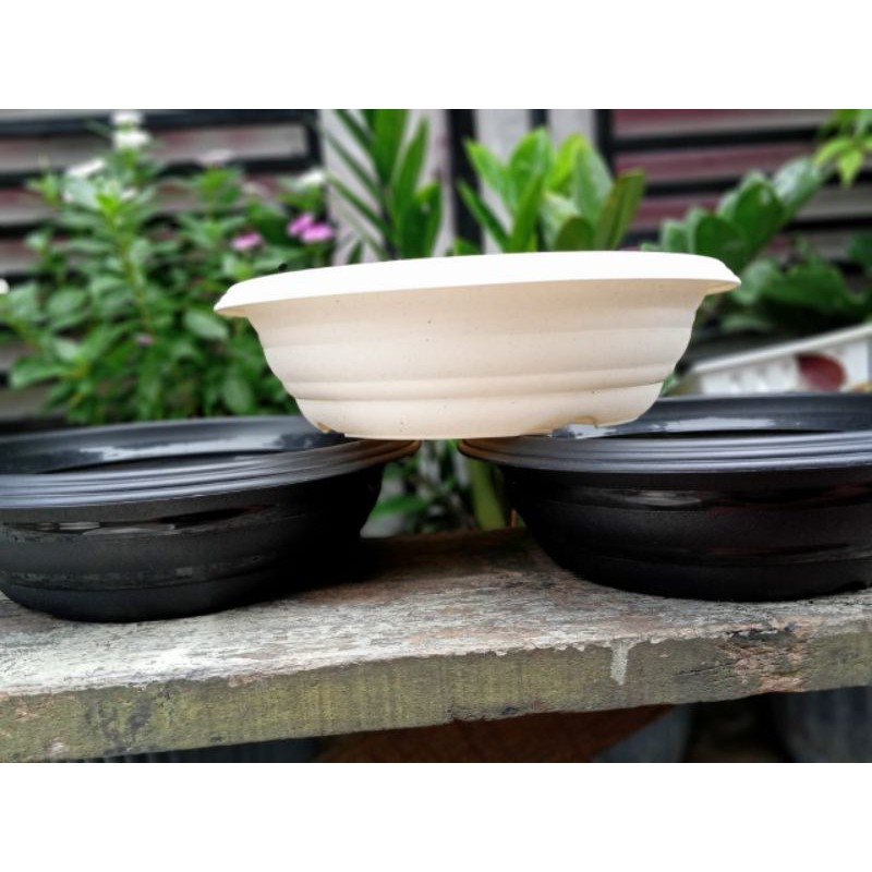 Pot bonsai plastik pot bonsai hitam putih pot bonsai azalia 25 pot bonsai kamboja bonsai beringin