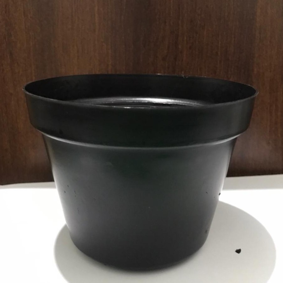 Pot Bunga Murah / Pot Tanaman / Pot Plastik  hitam uk 15 cm