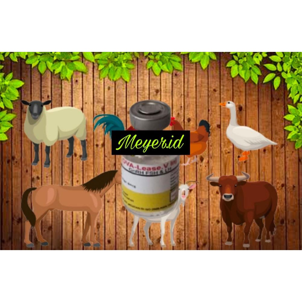 Ova Lease V Inj Meyer 5ML - Hormon kesuburan Gonadothrophine (GnRH)
