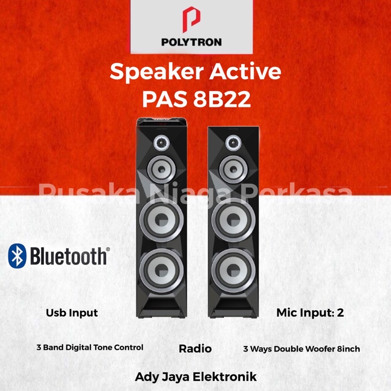 SPEAKER ACTIVE POLYTRON PAS 8B22