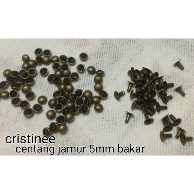 Paku jamur 4mm 5mm 6mm 8mm ( 100 set)