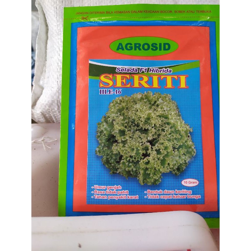 Bibit selada Seriti F1 Hibrida HLE-16
