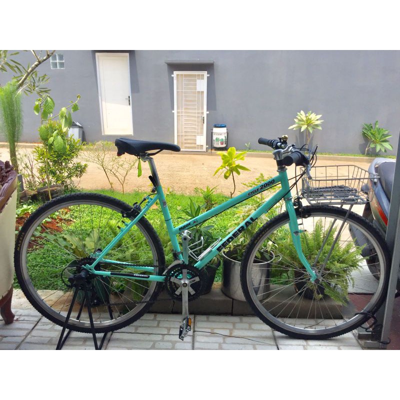 federal lady muddy cat