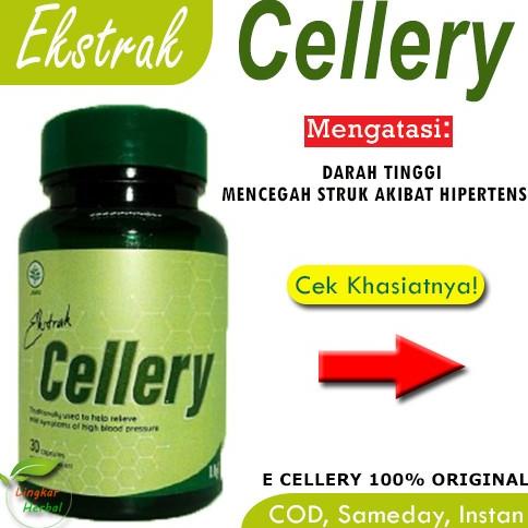 

TERLARIS E Cellery Obat Darah Tinggi Hipertensi Ekstrak Cellery Kapsul Herbal /OBAT HERBAL ASAM URAT/OBAT HERBAL PELANGSING/OBAT HERBAL KOLESTEROL/OBAT HERBAL DIABETES