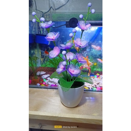 Bunga hias meja sudut dinding