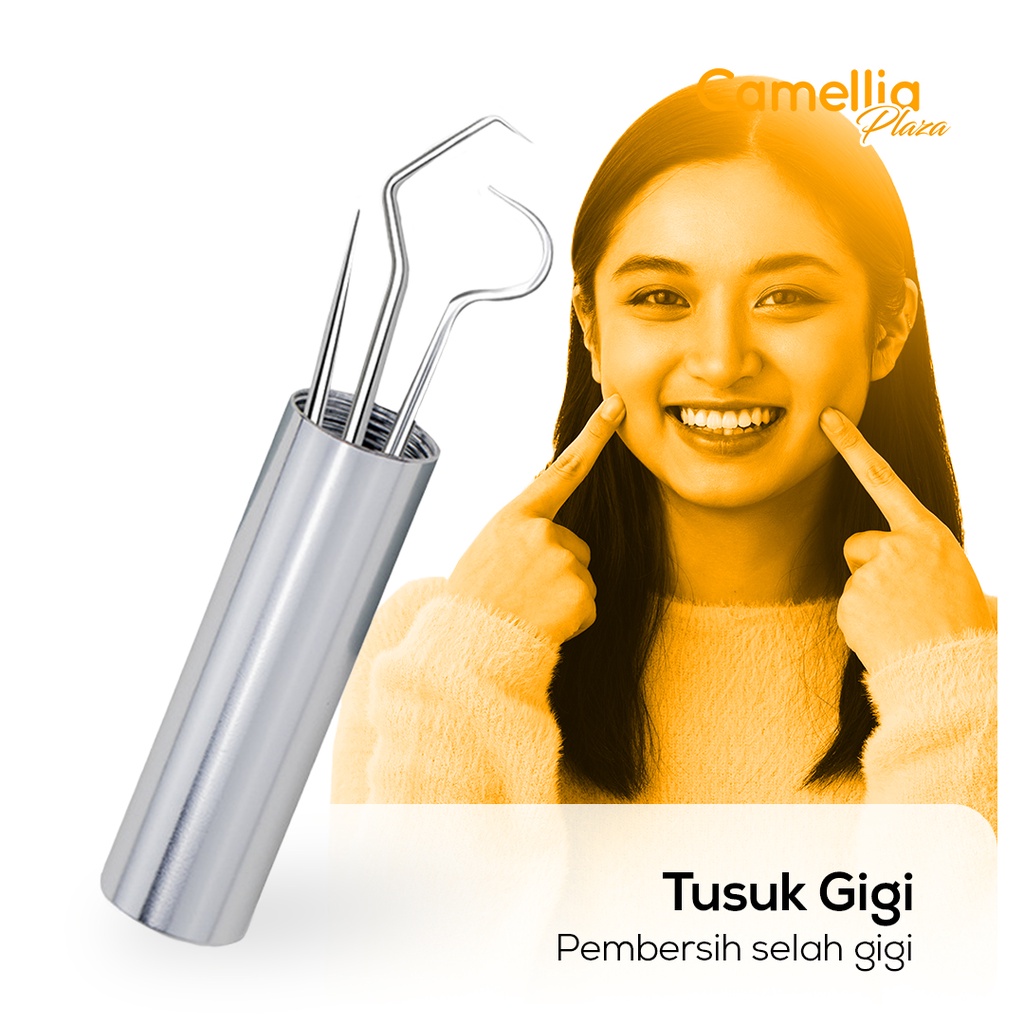 Tusuk Gigi Alat Pembersih Gigi Stainless Steril Toothpick Set 3 In 1