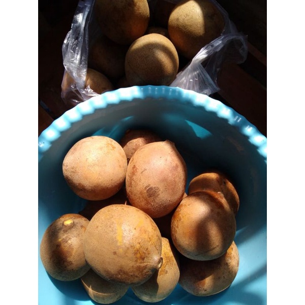 Buah Kepel petikan segar minim order 4 kg@