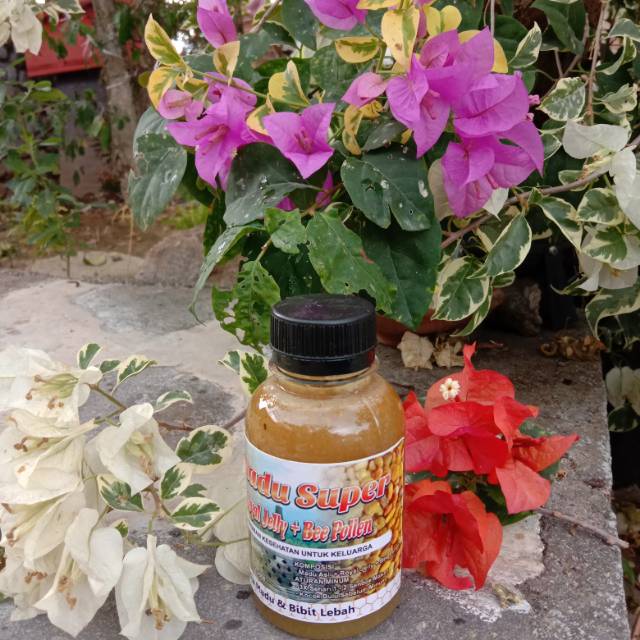 

Madu Royal Jelly + Beepolen
