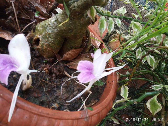 Tunik Batik Size S M L Xl Xxl 3xl 4xl 5xl 6xl 7xl 8xl