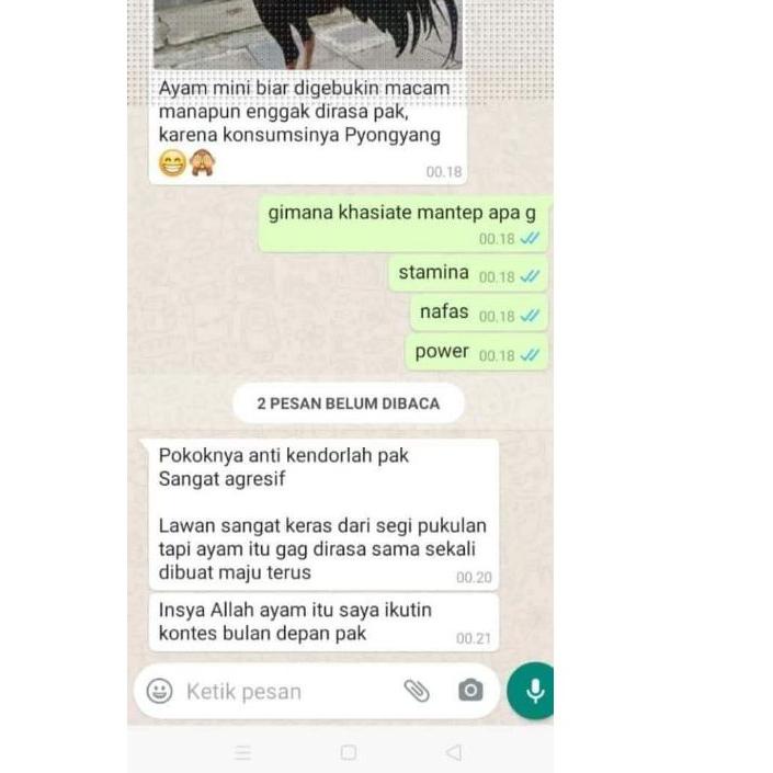 5.5 F⚡ASH SALE/Terbaru dan terlaris/【Discount Today】/Terbaru 3.3/「Termurah」 Jamu Ayam Aduan, Doping 