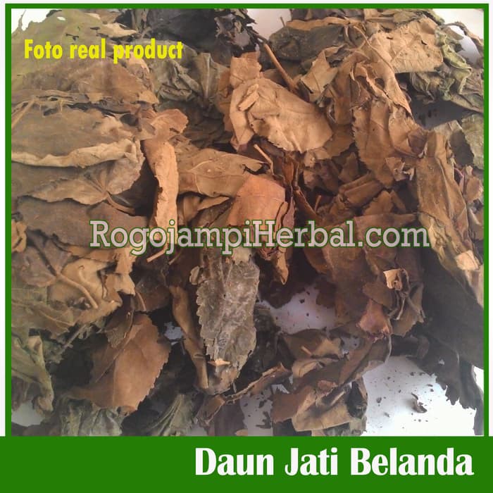 

JAMU / OBAT 250G JATI BELANDA / GUAZUMA FOLIUM [KHUSUS JNE] SEHAT & AMAN