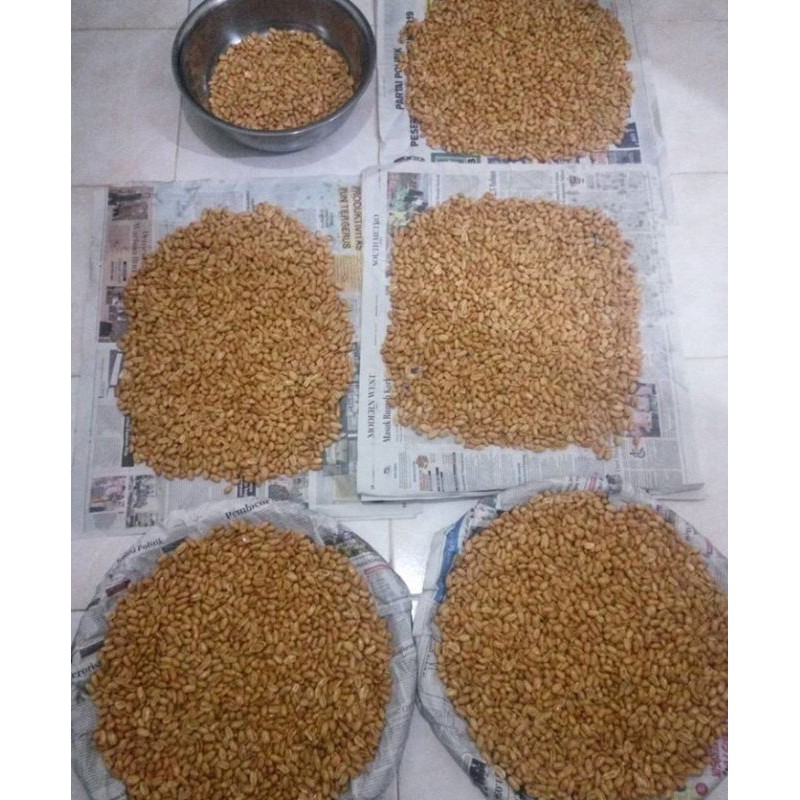 

Kacang asin bawang home made