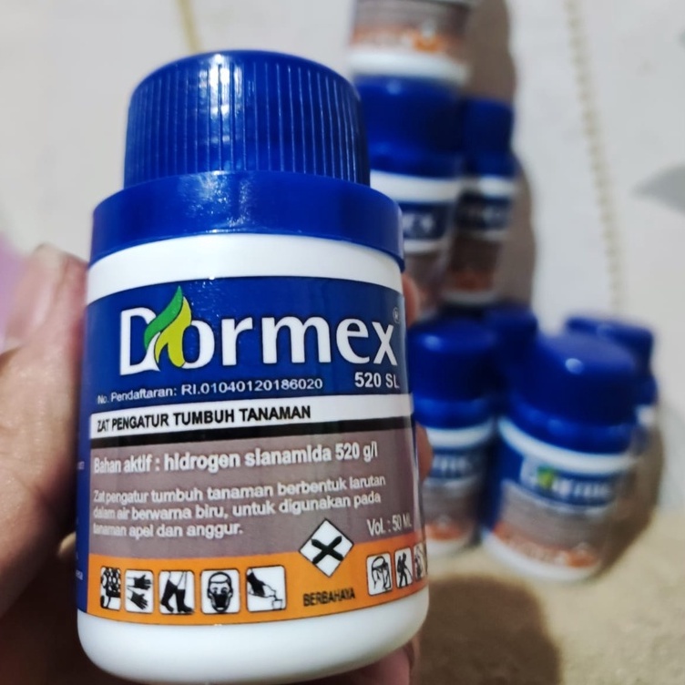 DORMEX PENUMBUH TUNAS ANGGUR, DORMEX ORIGINAL HIDROGEN SIANAMIDA 520 SL