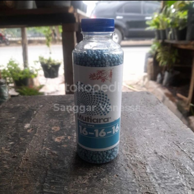 vitamin tanaman perangsang buah dan bunga