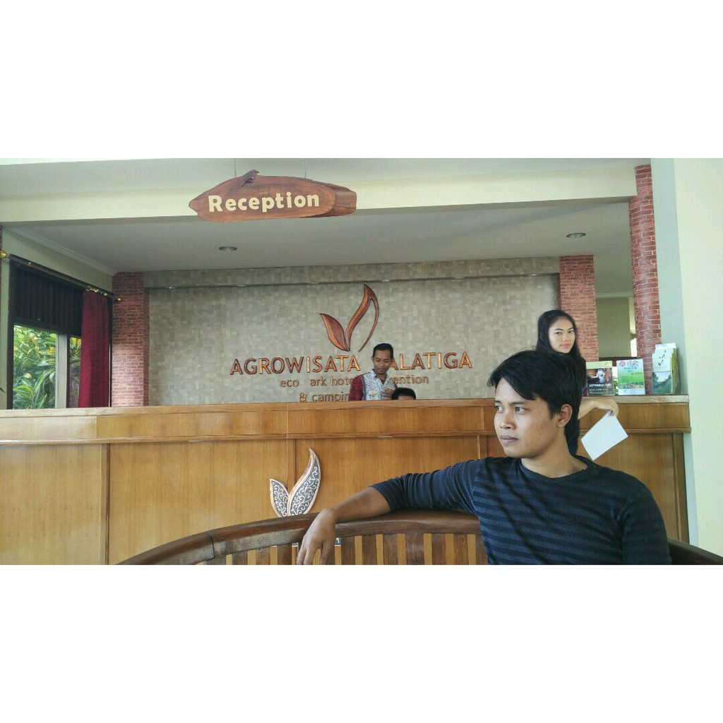 kayu palet jati belanda