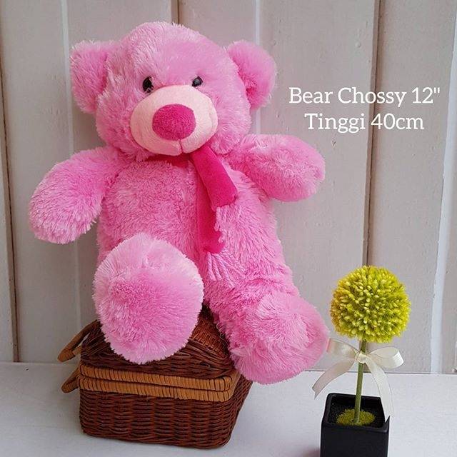 Chossy bear 12&quot; pink