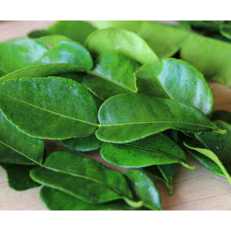

Daun jeruk purut