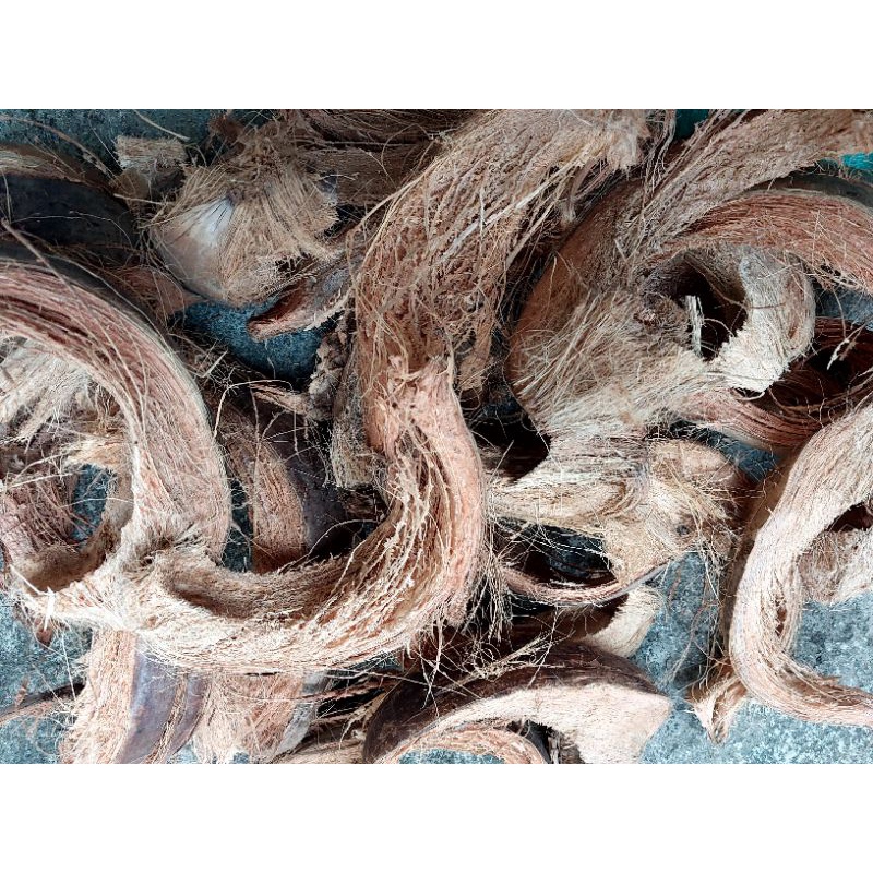 Sabut Kelapa Kering / Sepet / Sabut Kelapa Media Tanam Anggrek 1 kg