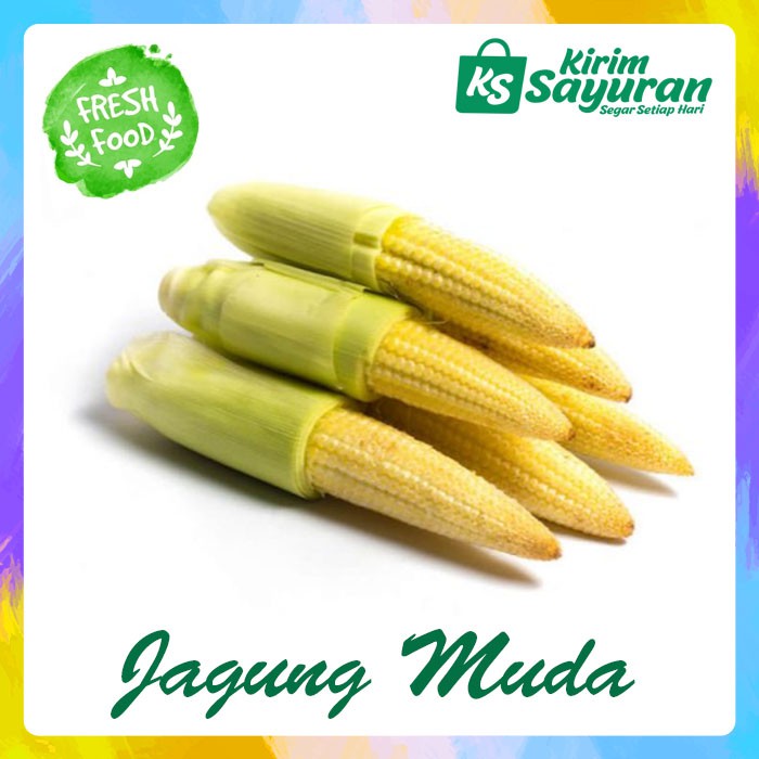 

Jagung Muda / Baby Corn (pack)