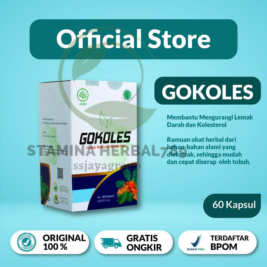 OBAT KOLESTROL PALING AMPUH BPOM / GOKOLES