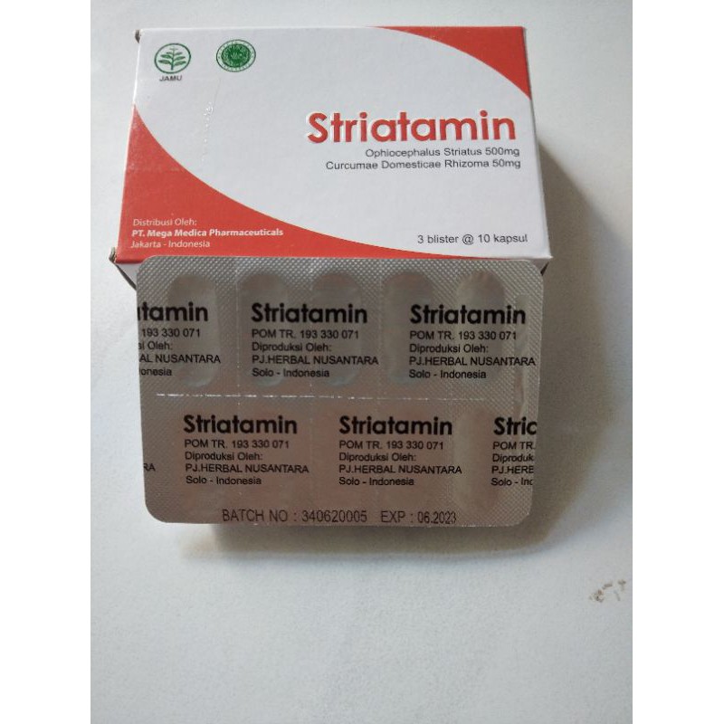 striatamin suplemen kapsul albumin ekstrak ikan gabus 1 strip